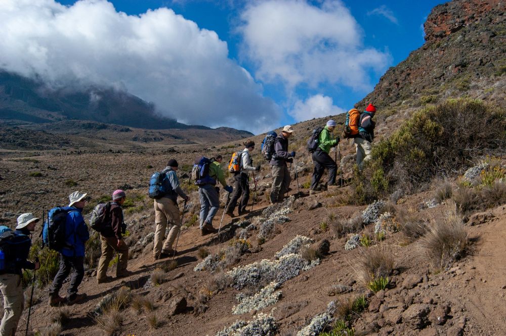 Marangu Mount Kilimanjaro