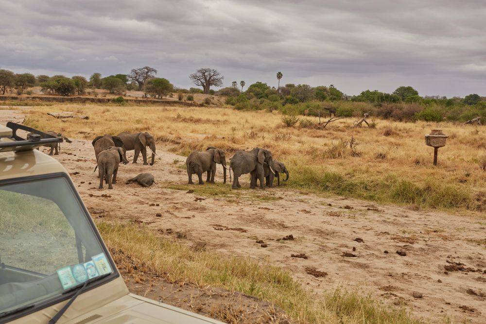 Southern Malawi Image